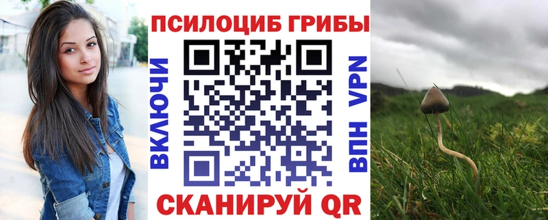 blacksprut вход  Ачинск  shop официальный сайт  Псилоцибиновые грибы прущие грибы 
