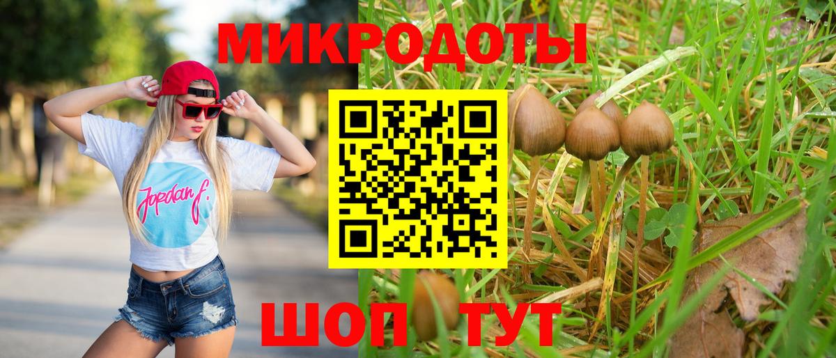 Псилоцибиновые грибы GOLDEN TEACHER Ачинск