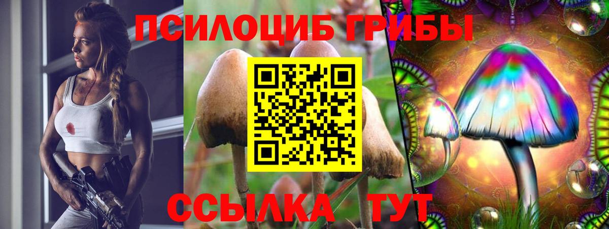 Галлюциногенные грибы ЛСД  Вход с VPN  Ачинск 